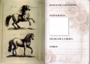 Pasaporte prometidos en Los Caballos