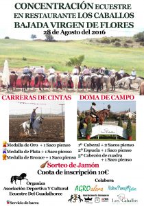 concentración ecuestre caballos-2016